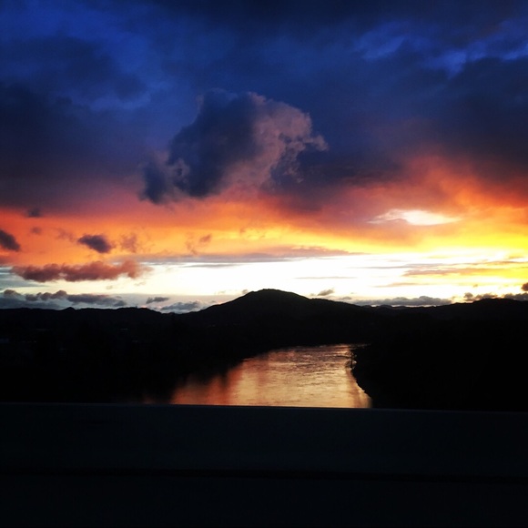 Meet your Posher, Daniel - Picture 1 of 1